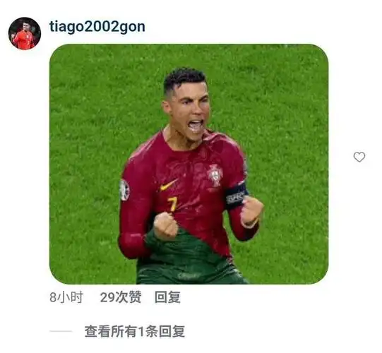 C罗球迷愤怒围攻！内维斯女友社媒沦陷，葡萄牙球星躺着也中枪